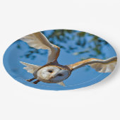 Foto van Barn Owl Flight Papieren Bordje (Gekanteld)