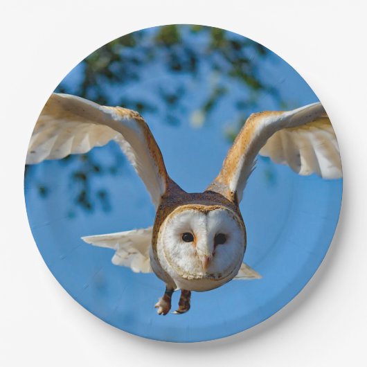 Foto van Barn Owl Flight Papieren Bordje (Voorkant)