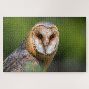 Foto van Barn owl Legpuzzel