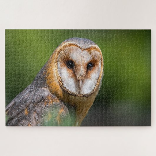 Foto van Barn owl Legpuzzel (Horizontaal)