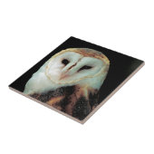 Foto van Barn Owl Tegeltje (Zijkant)