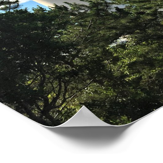 Foto van Barnegat Lighthouse Poster (Hoek)