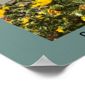 Foto van Beach Camano Island Washington Poster (Hoek)