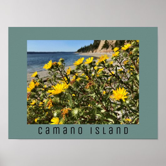 Foto van Beach Camano Island Washington Poster (Voorkant)