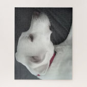Foto van Beauful Dog White en Grey Legpuzzel (Verticaal)