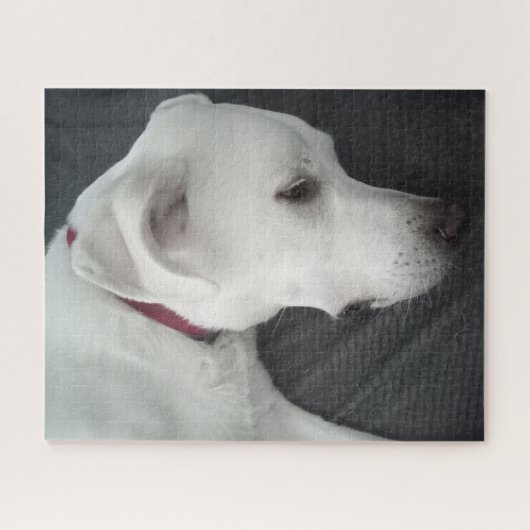 Foto van Beauful Dog White en Grey Legpuzzel (Horizontaal)