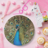 Foto van Beauful Peacock met Spread Feathers Papieren Bordje (Feest)