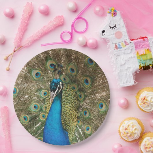 Foto van Beauful Peacock met Spread Feathers Papieren Bordje (Feest)