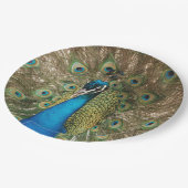 Foto van Beauful Peacock met Spread Feathers Papieren Bordje (Gekanteld)