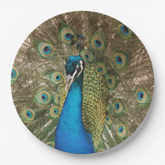 Foto van Beauful Peacock met Spread Feathers Papieren Bordje (Voorkant)