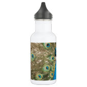 Foto van Beauful Peacock met Spread Feathers Waterfles (Links)