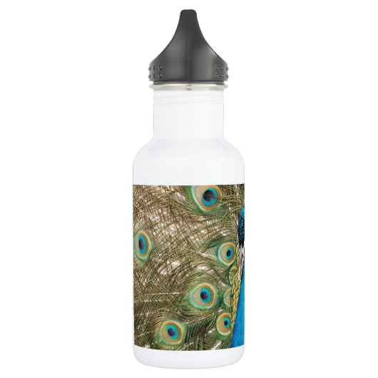 Foto van Beauful Peacock met Spread Feathers Waterfles (Links)
