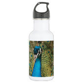 Foto van Beauful Peacock met Spread Feathers Waterfles (Voorkant)