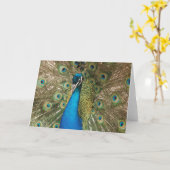 Foto van Beautiful Peacock met Spread Feathers Kaart (Gele Bloem)