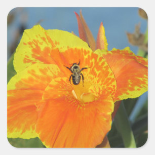 Foto van Bee Oranje Yellow Canna Lily Vierkante Sticker