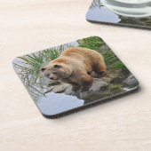 Foto van Beer Wildlife Animal Grizzly Bier Onderzetter (Linkerzijde)