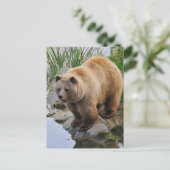 Foto van Beer Wildlife Animal Grizzly Briefkaart (Staand voorkant)