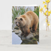 Foto van Beer Wildlife Animal Grizzly Kaart (Gele Bloem)