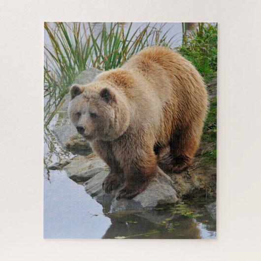 Foto van Beer Wildlife Animal Grizzly Legpuzzel (Verticaal)
