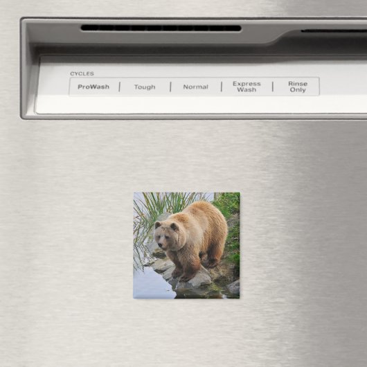 Foto van Beer Wildlife Animal Grizzly Magneet (Insitu (Vaatwasser))