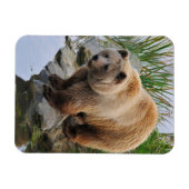 Foto van Beer Wildlife Animal Grizzly Magneet (Horizontaal)