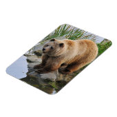 Foto van Beer Wildlife Animal Grizzly Magneet (Linkerzijde)