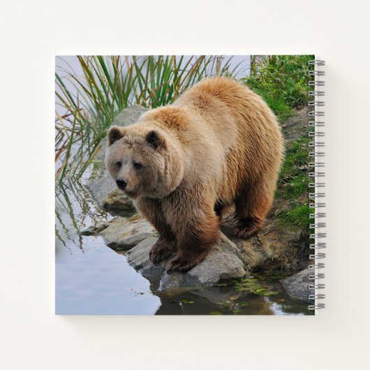 Foto van Beer Wildlife Animal Grizzly Notitieboek (Achterkant)