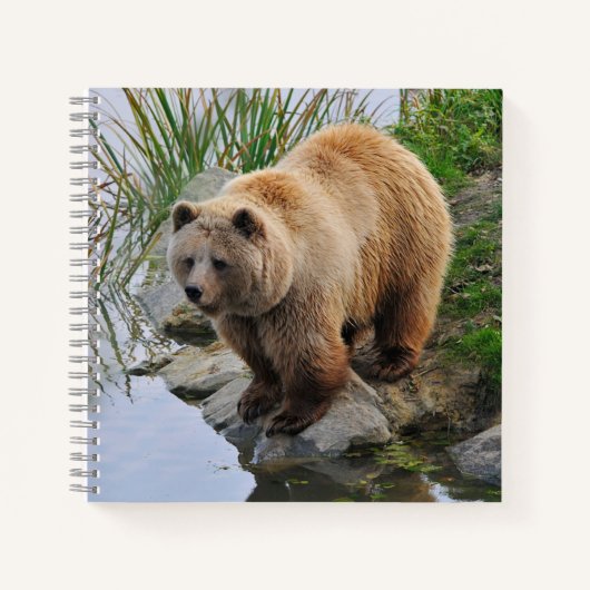 Foto van Beer Wildlife Animal Grizzly Notitieboek (Voorkant)