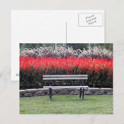 Foto van Bench Red Floral Briefkaart (Voorkant / Achterkant)