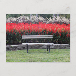 Foto van Bench Red Floral Briefkaart