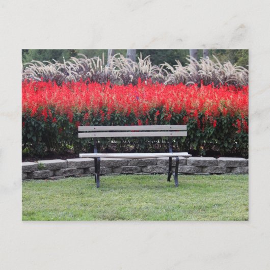 Foto van Bench Red Floral Briefkaart (Voorkant)
