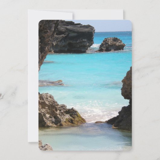 Foto van Bermuda Coast & Tropical Sea Save The Date (Achterkant)