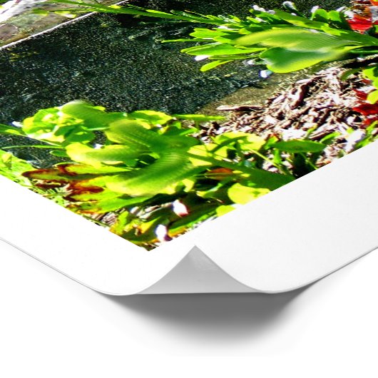 Foto van Bernadette Fine Poster (Hoek)