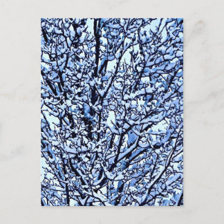 Foto van besneeuwde winterboomtakken briefkaart