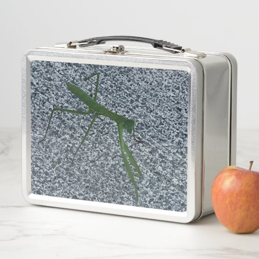 Foto van Bidden Mantis Insect Lunch Boxes (In situ)