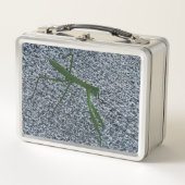 Foto van Bidden Mantis Insect Lunch Boxes (Voorkant)