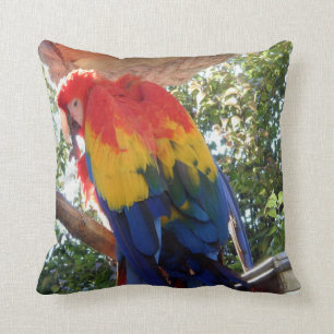Foto van Bird #16-Scarlet Macaw Kussen