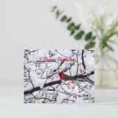 Foto van Birthday: rode kardinale sneeuwboom Briefkaart (Staand voorkant)
