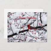 Foto van Birthday: rode kardinale sneeuwboom Briefkaart (Voorkant / Achterkant)