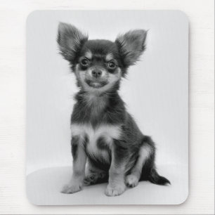 Foto van Black and White Chihuahua Puppy Muismat