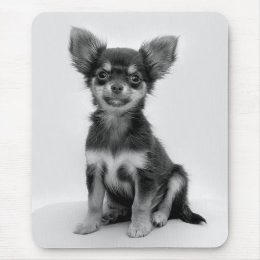 Foto van Black and White Chihuahua Puppy Muismat (Voorkant)