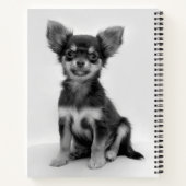 Foto van Black and White Chihuahua Puppy Notitieboek (Achterkant)