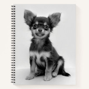 Foto van Black and White Chihuahua Puppy Notitieboek