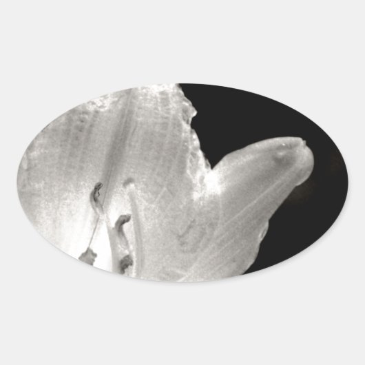 Foto van Black and White Lily Ovale Sticker (Voorkant)