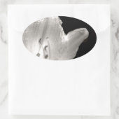 Foto van Black and White Lily Ovale Sticker (Tas)