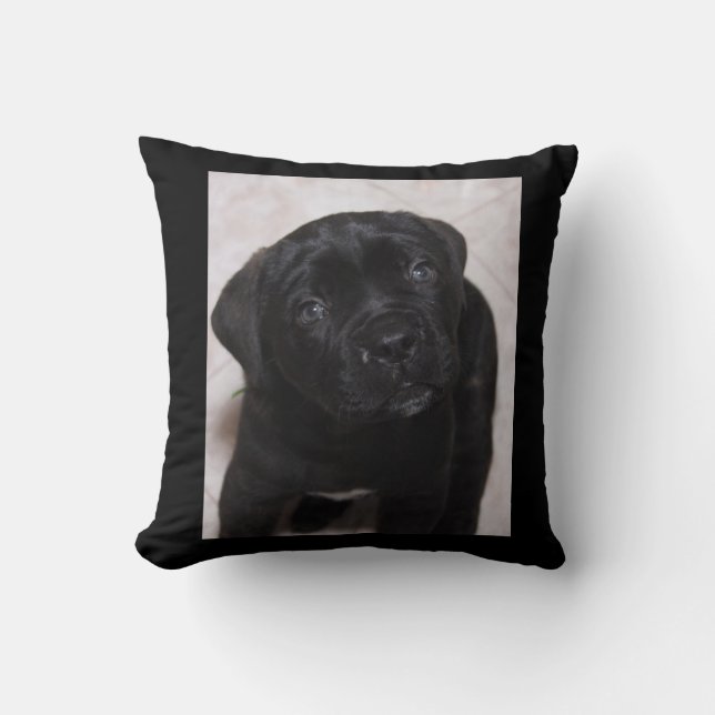 Foto van Black Puppy Pillow Kussen (Voorkant)