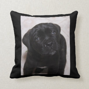 Foto van Black Puppy Pillow Kussen