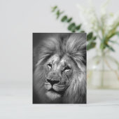 Foto van Black & White Lion Briefkaart (Staand voorkant)