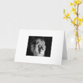 Foto van Black & White Lion Kaart (Gele Bloem)