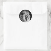 Foto van Black & White Lion Ronde Sticker (Tas)